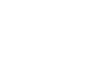 16889810887503