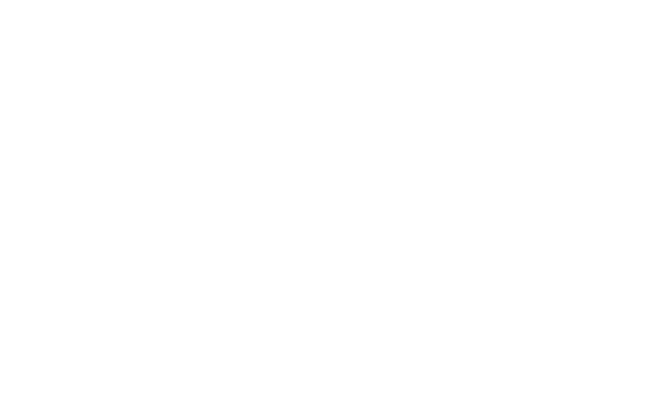 16969213494591